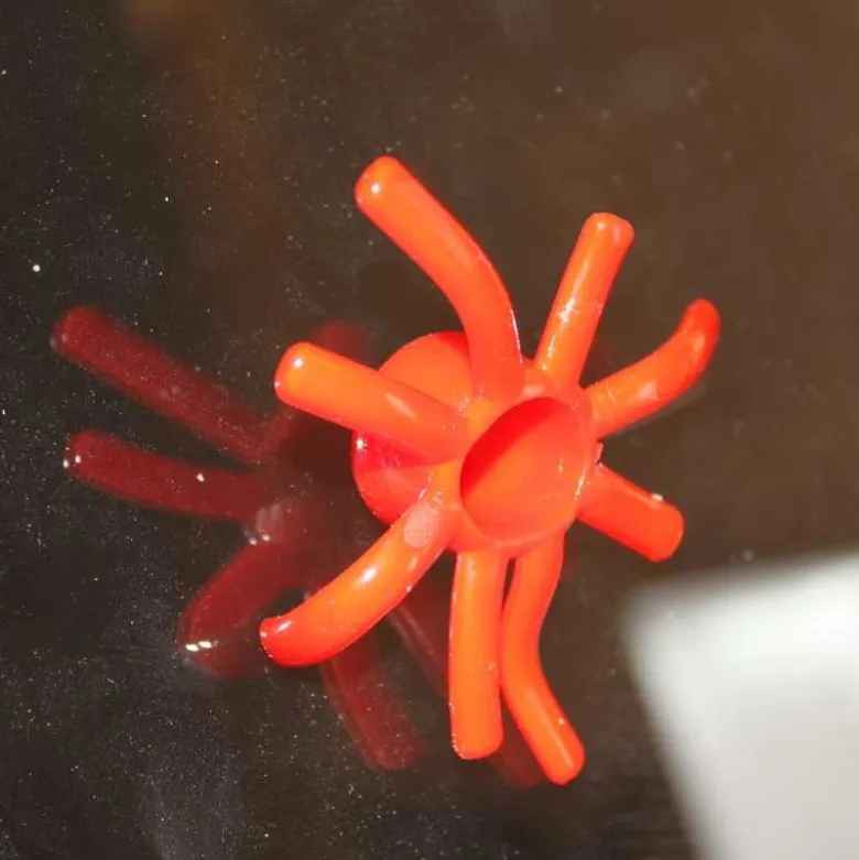 Bläckfisk Sticky Klibbig Window Climber
