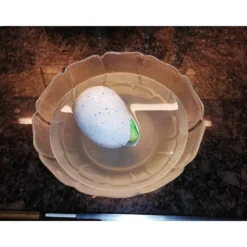 Dinosaurie Jumbo ägg växande dinosaurie 11 cm
