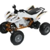 Fyrhjuling Honda TRX 450R New Ray - 1:12