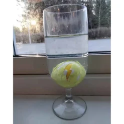 Ägg Kyckling Växande 6 cm