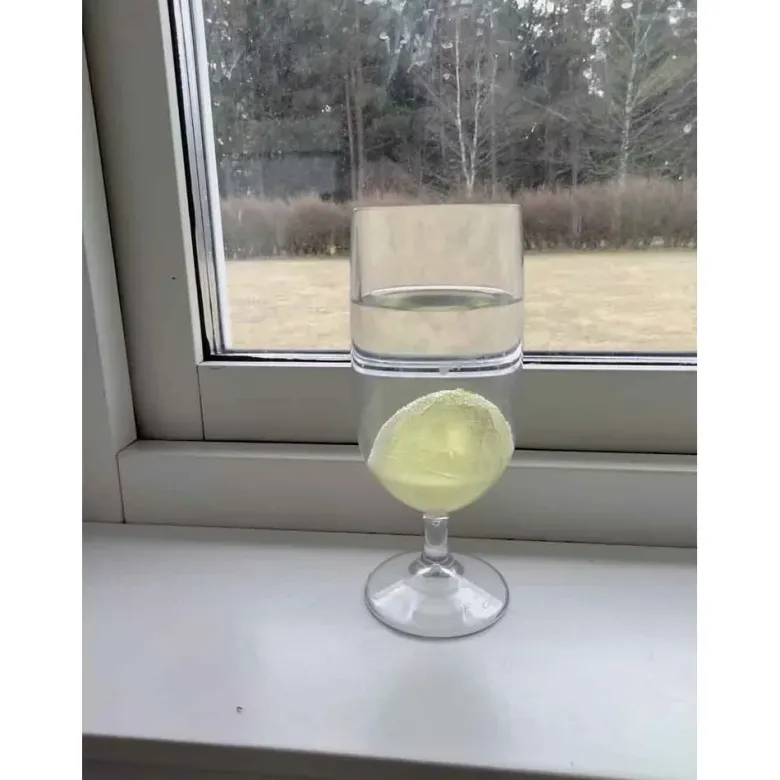 Ägg Kyckling Växande 6 cm