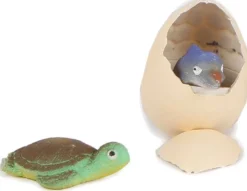 Havsdjur ägg växande djur 7 cm