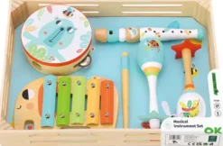Leksaksinstrument trä Tooky Toy