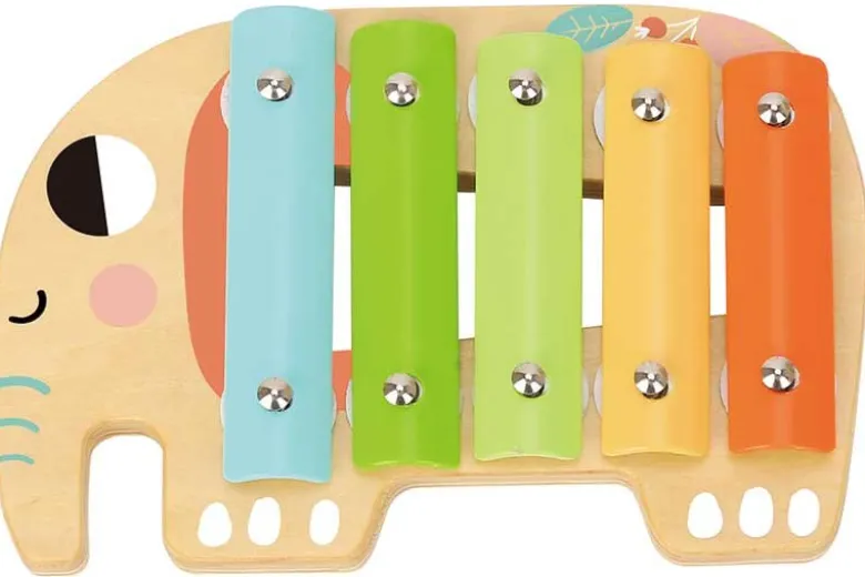 Leksaksinstrument trä Tooky Toy