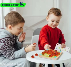 Memoryspel med nyckelpigor i trä Tooky Toy