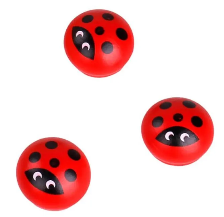 Memoryspel med nyckelpigor i trä Tooky Toy