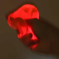 NeeDoh Lysande Lavaboll Klämboll Magma Light Up