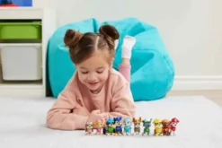 Paw Patrol Celebration 10 pack figures