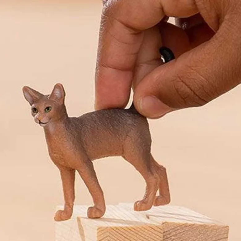 Schleich Abessinier Katt 13964