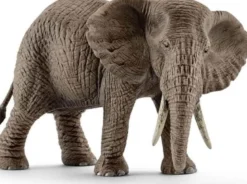 Schleich Afrikansk Elefant Hona 14761