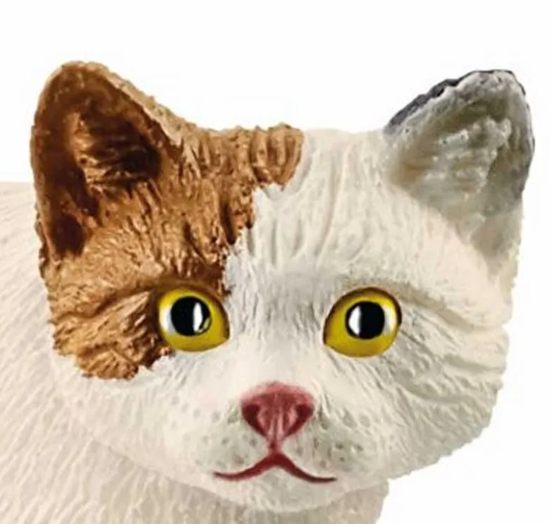Schleich Amerikansk Korthårig Katt 13894