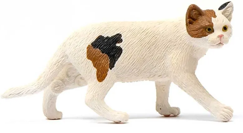Schleich Amerikansk Korthårig Katt 13894