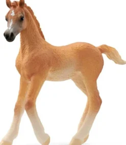 Schleich Arabhäst Föl, Arab Foal 13984