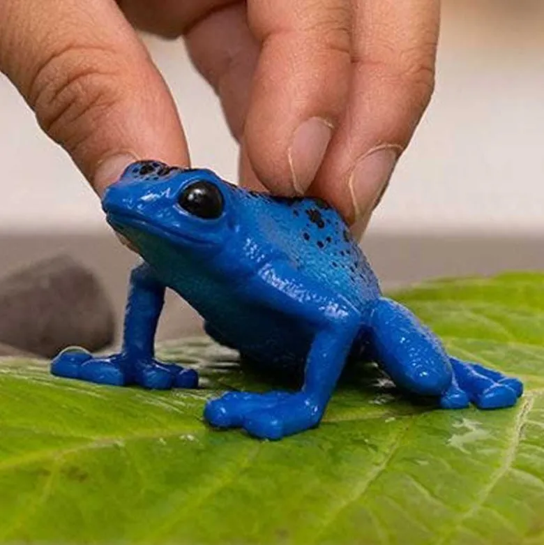 Schleich Azurblå Pilgiftsgroda 14864