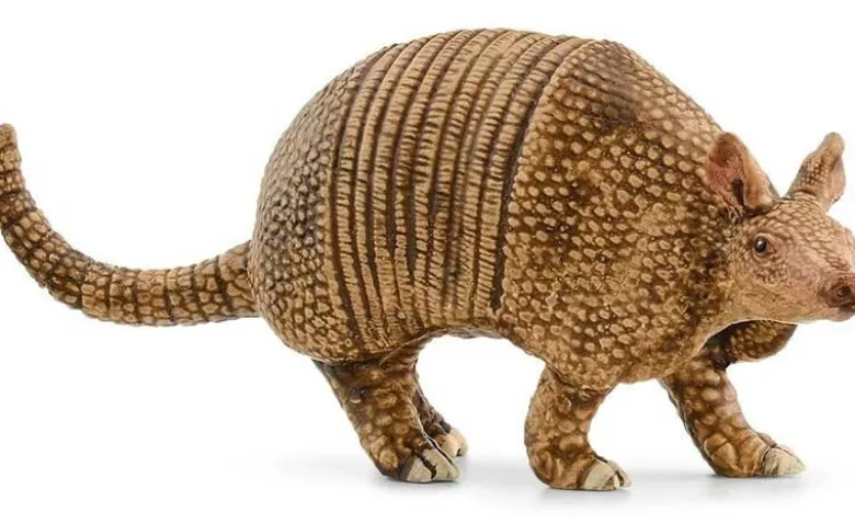 Schleich Bältdjur Armadillo 14874