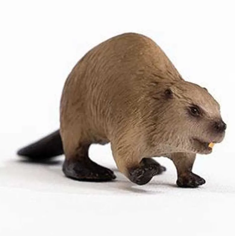 Schleich Bäver 14855