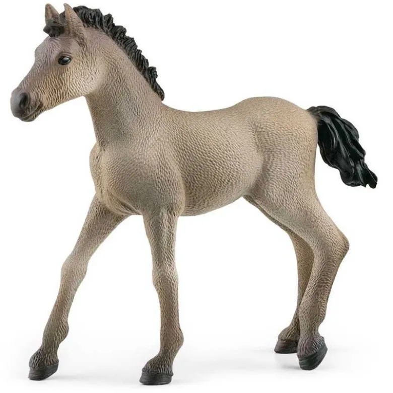 Schleich Criollo Föl 13949