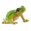Schleich Europeisk Lövgroda 14882