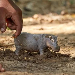 Schleich Flodhäst Leksaksdjur 14814