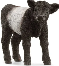 Schleich Galloway Kalv 13969
