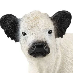 Schleich Galloway Ko 13960