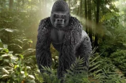 Schleich Gorilla Hane 14770