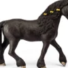 Schleich Hästbox med Horse Club Tori och Princess 42437