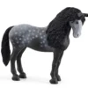 Schleich Häst Pura Raza Espanola Sto 13922