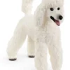 Schleich Hund Pudel 13917