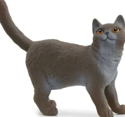 Schleich Katt Brittiskt Korthår British Shorthair Cat 13973