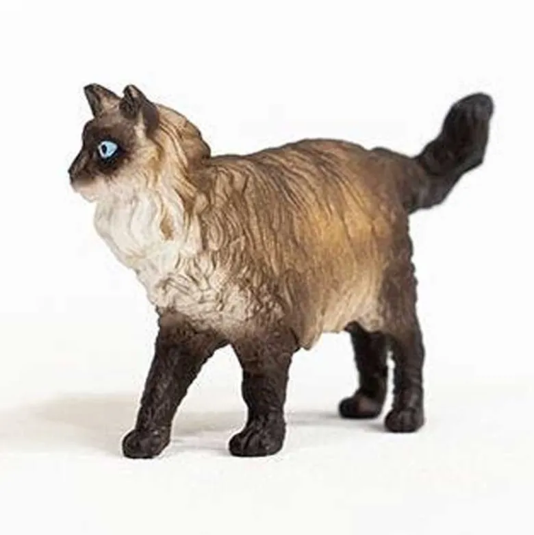 Schleich Katt Ragdoll 13940
