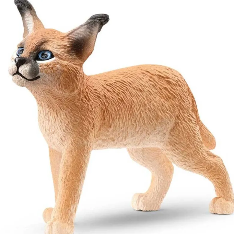 Schleich Öken Lo Unge 14868