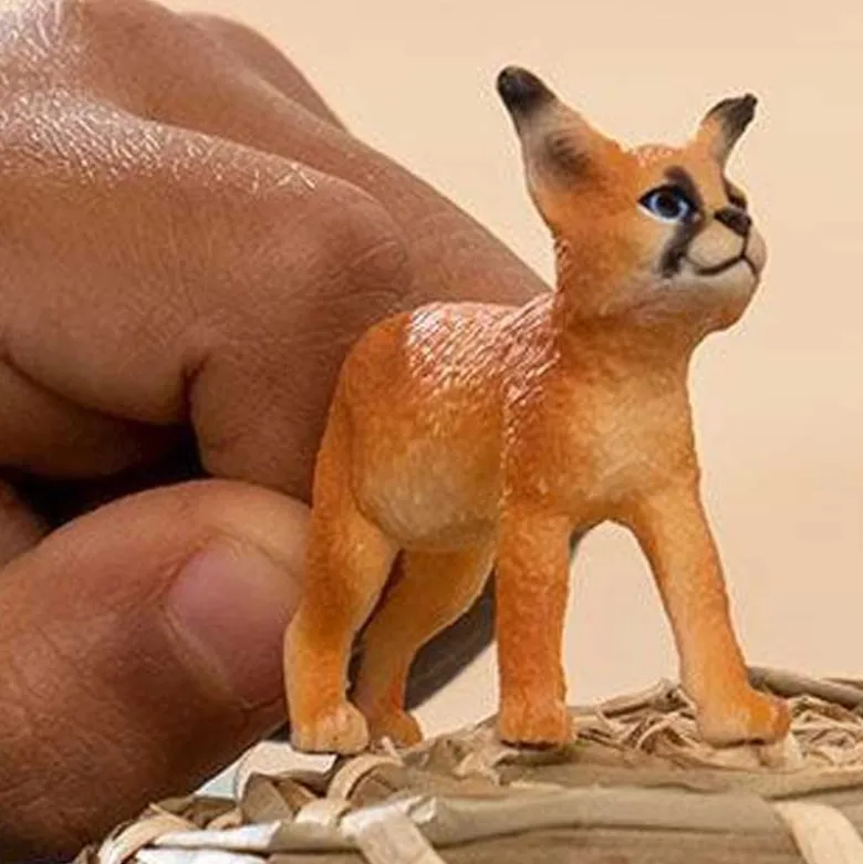 Schleich Öken Lo Unge 14868