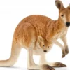 Schleich Känguru 14756