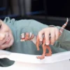 Schleich Majungasaurus Dinosaurie 15032