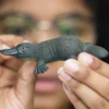 Schleich Näbbdjur Platypus 14840