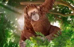 Schleich Orangutang Hona Apa 14775