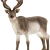 Schleich Ren 14837