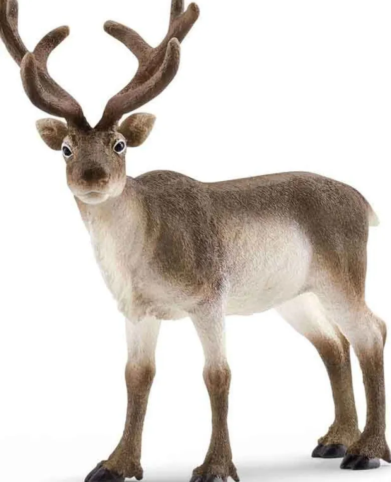 Schleich Ren 14837