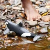 Schleich Späckhuggare 14807