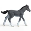 Schleich Trakehnar Föl 13944