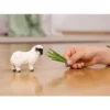 Schleich Walliskt Svartnos Får 13965