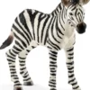 Schleich Zebra Föl 14811