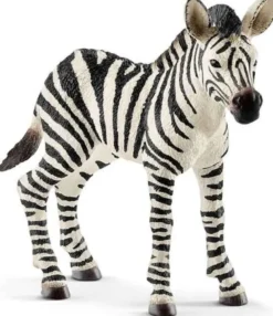 Schleich Zebra Föl 14811