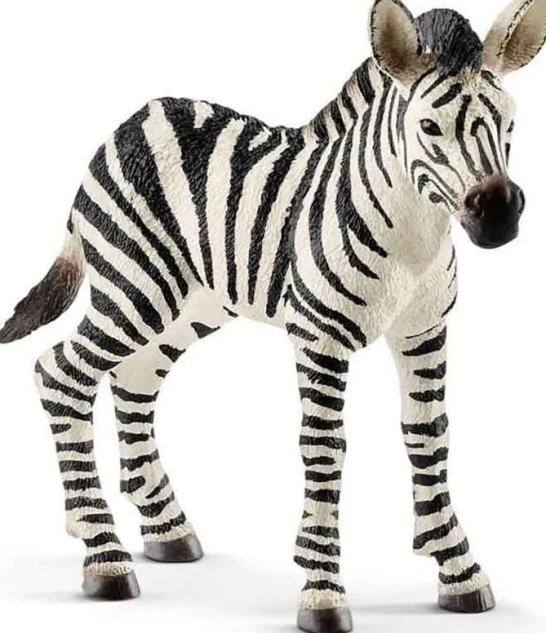 Schleich Zebra Föl 14811