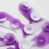 Squido Popit Strip Suction 22 cm